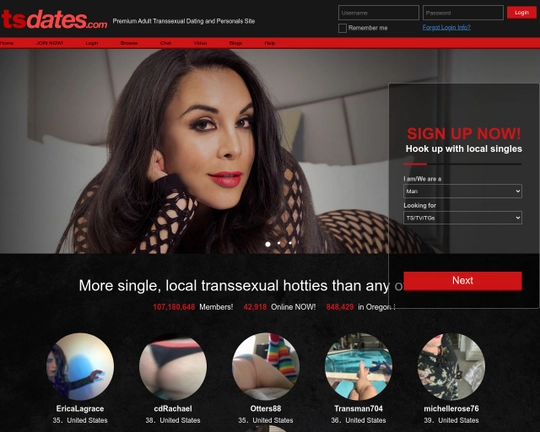 TsDates Logo